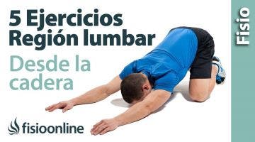 5 EJERCICIOS para MEJORAR tus LUMBARES desde las caderas