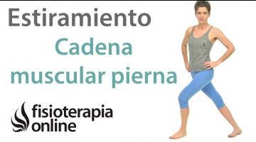 13.Estiramiento de cadena de apertura de la pierna. (con cincha).