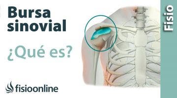 37 Bursa y Bursitis. Qué es la inflamación de la bursa, causas y tratamiento.