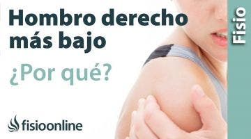 ¿Por qué muchas personas tienen el hombro derecho más bajo?