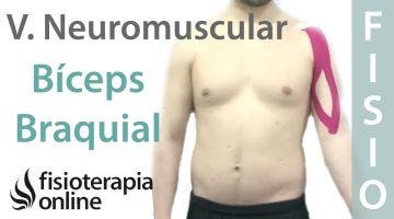 Cómo tonificar el bíceps braquial con vendaje neuromuscular