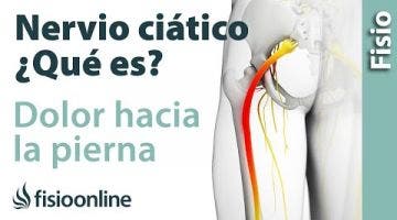 ¿Qué es el nervio ciático?