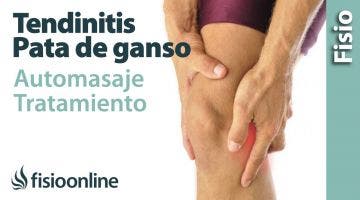 18. Auto-masaje de la tendinitis de la Pata de ganso