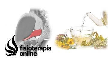 Síndrome del músculo piramidal  Consejos según la medicina natural