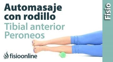 Auto masaje de peronéos y tibial anterior con rodillo