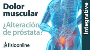Tratamiento para el dolor lumbar o lumbalgia provocado por alteración de la próstata