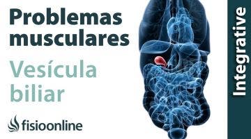 Vesícula biliar: problemas articulares y musculares que puede provocar