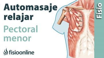 25.Automasaje para pectoral menor. (No hay nodo en el potal)