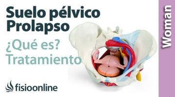 ¿Qué es el prolapso en el suelo pélvico? ¿Cuál es el tratamiento adecuado en fisioterapia?