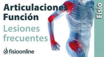 Articulación - Estructura, funcionamiento y lesiones más frecuentes