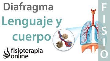 Diafragma. Lenguaje y cuerpo.