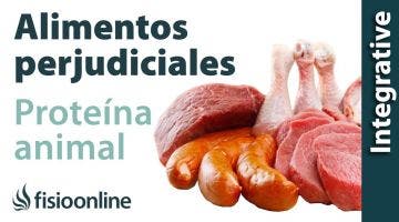 Alimentos perjudiciales para tu espalda: Exceso de proteína animal.