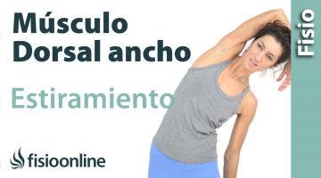 4.Estiramiento del músculo Dorsal ancho.