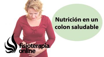 Importancia nutrición en un colon saludable, colon irritable