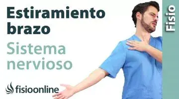 Auto-estiramiento del sistema nervioso del brazo.