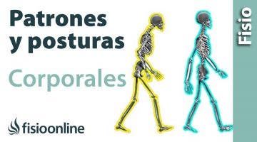 Patrones y posturas corporales. El lenguaje propioceptivo del cuerpo.