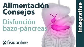 Alimentación, nutrición y consejos dietéticos para la disfunción de bazo-páncreas.