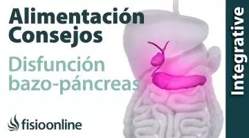 Alimentación, nutrición y consejos dietéticos para la disfunción de bazo-páncreas.