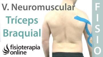 Cómo relajar el tríceps braquial con vendaje neuromuscular