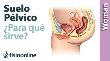 ¿Qué es el suelo pélvico y para qué sirve?