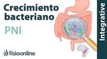 Sobrecreimiento bacteriano, entendiéndolo a través de la PNI