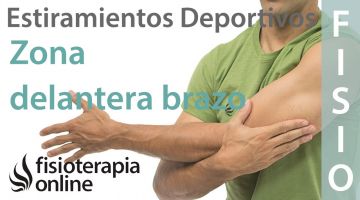 Estiramientos deportivos para relajar la zona delantera del brazo y antebrazo