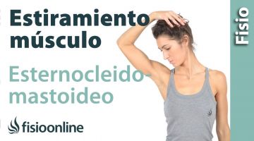 40 auto masaje para esternocleidomastoideos. (nuevo)