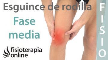 Esguince de ligamento lateral EXTERNO de rodilla. Tratamiento en su fase intermedia