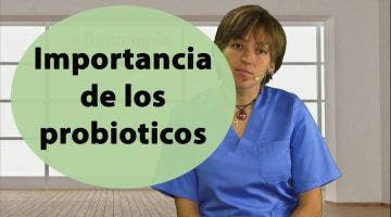 ¿Qué importancia tiene los probioticos para la salud?