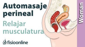 Automasaje y relajación de la musculatura del periné