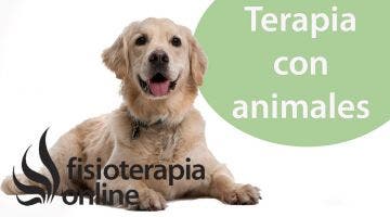 El animal como compañía terapéutica desde la visión de la fisioterapia