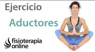 Ejercicio de potenciación o fortalecimiento para los músculos aductores.