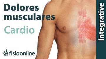 Palpitaciones y alteración cardiaca: problemas articulares y musculares que provocan