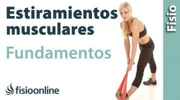 Fundamentos y leyes básicas sobre los estiramientos musculares.