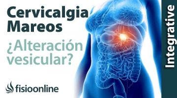 Tratamiento para dolor cervical con mareos provocado por una alteración de la vesícula biliar