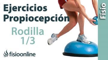 Ejercicios de propiocepción o propioceptivos de rodilla. Nivel inicial. Reforzar la rodilla