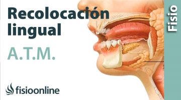 Ejercicio de reposicionamiento o recolocación lingual.