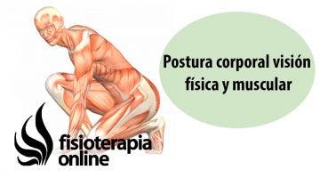 Postura corporal visión física y muscular