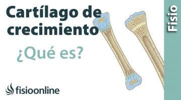 Cartílago de crecimiento - Qué es y cuál es su importancia