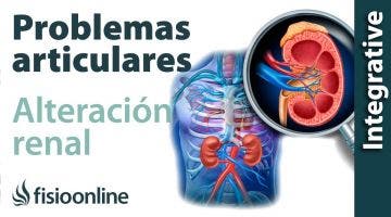 Riñón: Problemas articulares y musculares que puede provocar