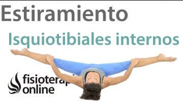 Estiramientos 3