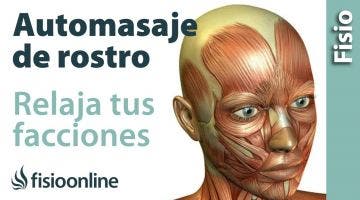 48 Automasaje de cara o facial (nuevo)