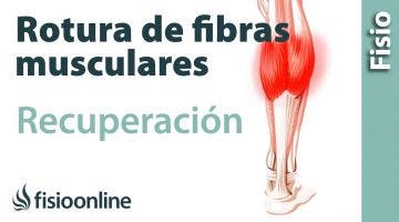 Tratamiento y recuperación de una rotura de fibras