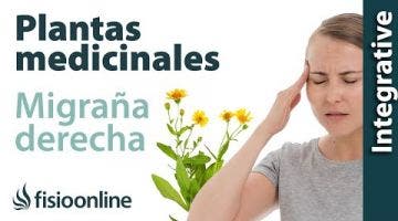 Cefalea y migraña o dolores de cabeza derechos. Plantas medicinales y remedios naturales.