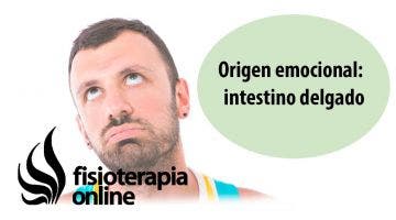 Origen emocional de la disfunción de intestino delgado.