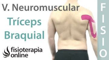 Cómo tonificar el tríceps braquial con vendaje neuromuscular