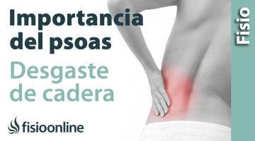 Desgaste de cadera. Importancia del psoas y su estiramiento