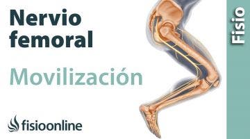 Flexibilización y movilización del nervio femoral.