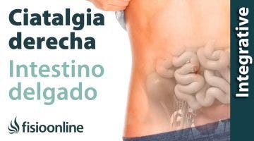 Ciática o ciatalgia derecha y su relación con el intestino delgado
