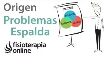 Origen multifactorial de los problemas de espalda, articulares y musculares